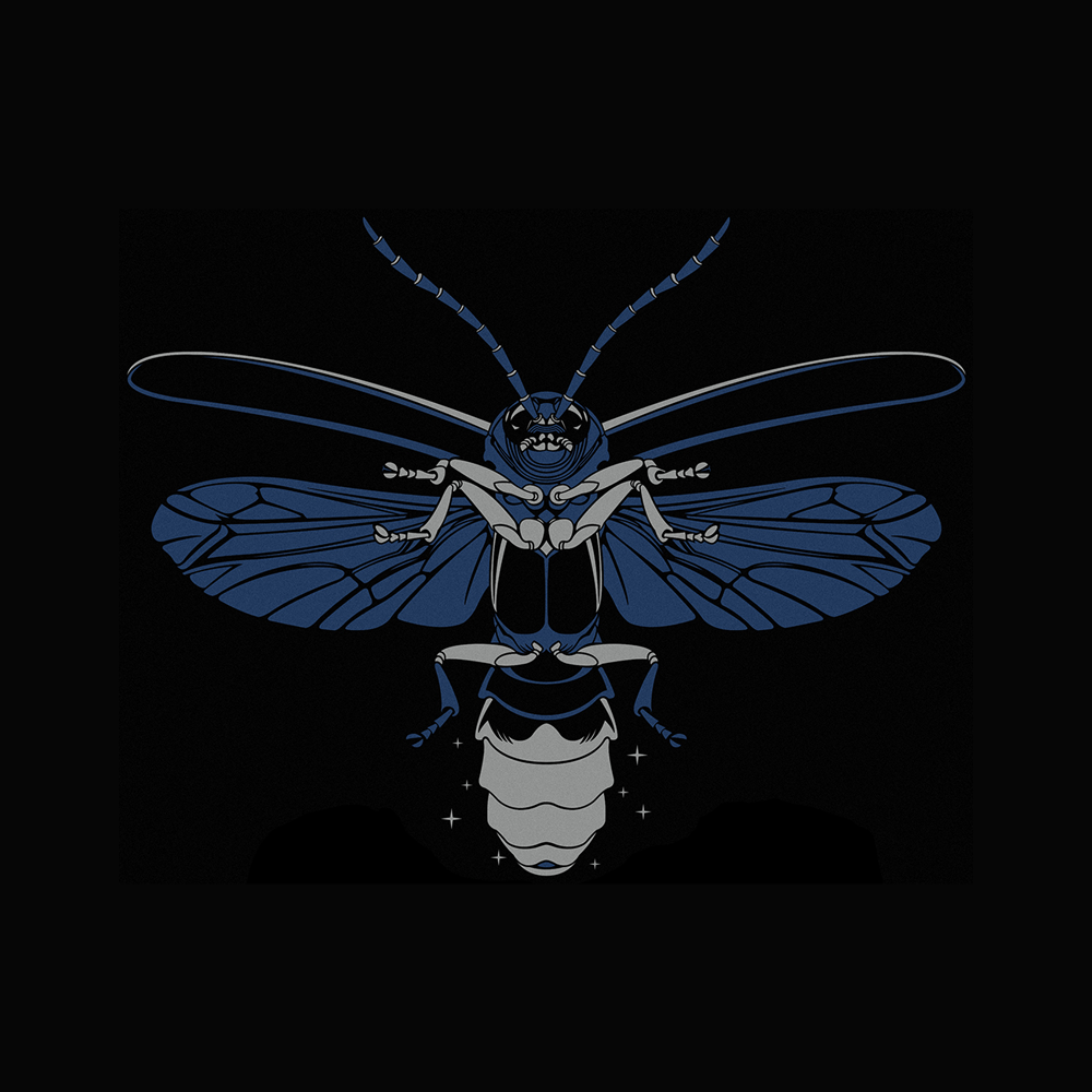 Ipurtargi Illustration